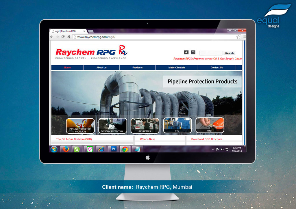 Website Design for Raychem RPG